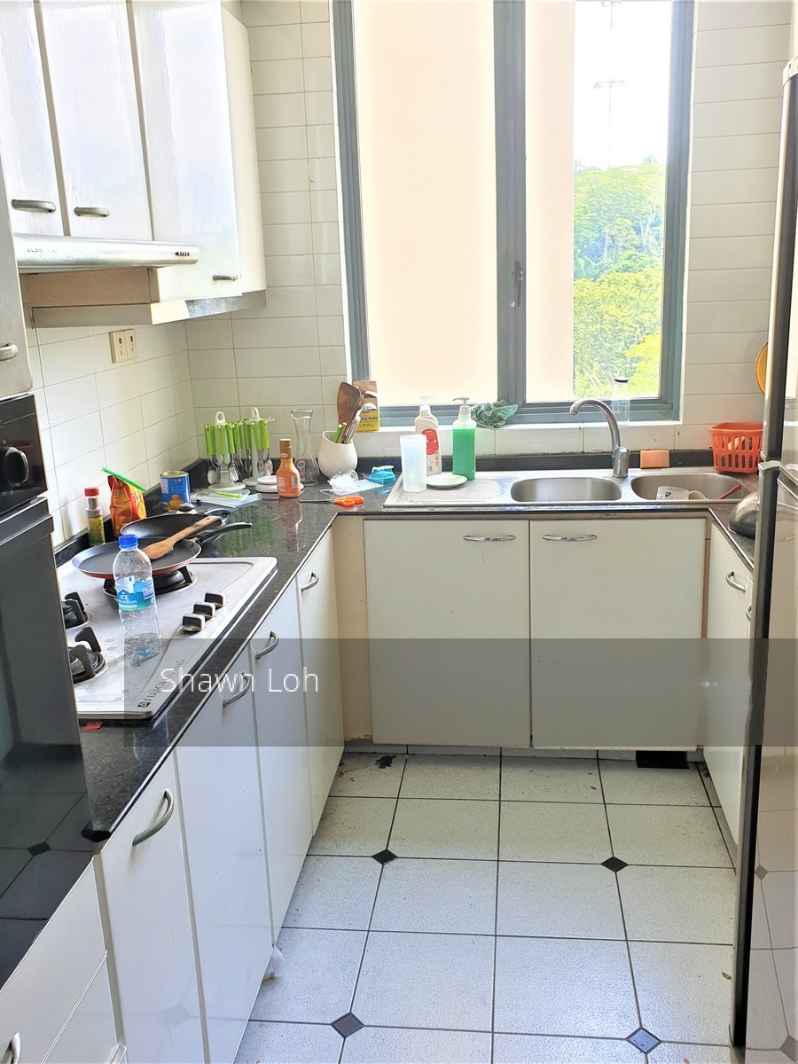 Springdale Condominium (D21), Condominium #209022381